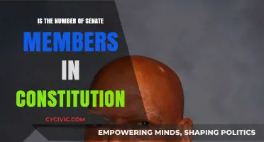 Senate Membership: Constitutional Numbers Explained