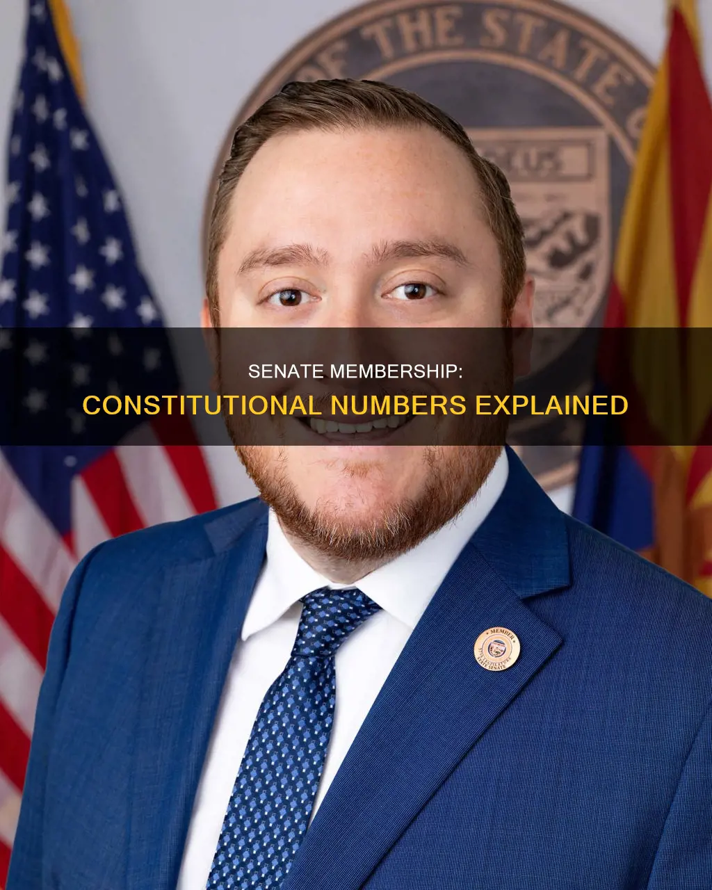 is the number of senate members in constitution