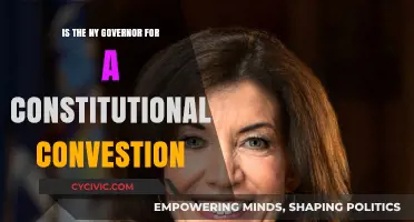 The Governor's Stance: Constitutional Convention