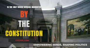 The Speaker's Unique Role in the House