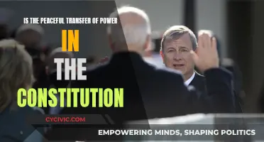 The Peaceful Transfer of Power: A Constitutional Principle?