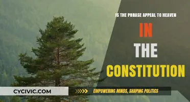 What Does "Appeal to Heaven" Mean in the US Constitution?