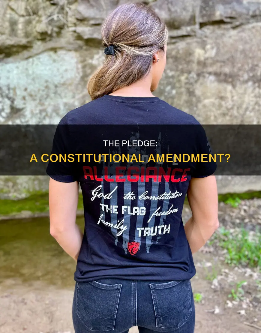 is the pledge of allegiance in the constitution