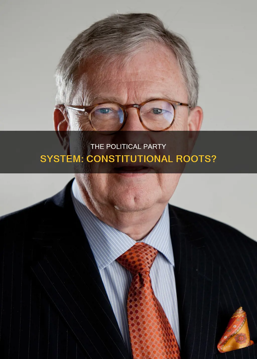 is the political party system in the constitution