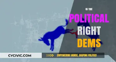 Exploring the Political Spectrum: Are Right-Wing Democrats a Myth?
