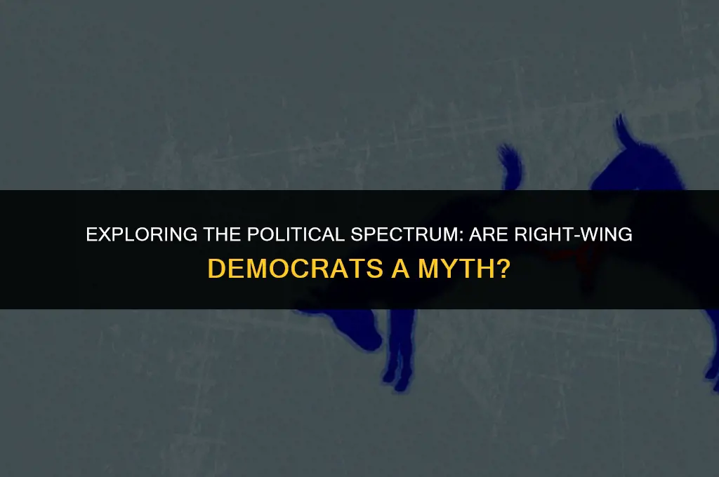 is the political right dems