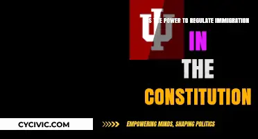 Immigration Control: Who Has the Power?