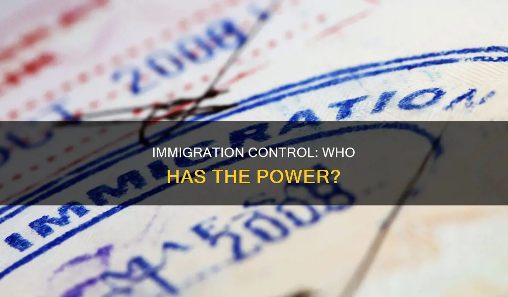 is the power to regulate immigration in the constitution