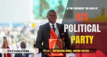 Is the President the Leader of Their Political Party?