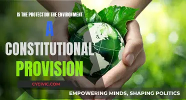 The Environment: Our Constitutional Right and Responsibility