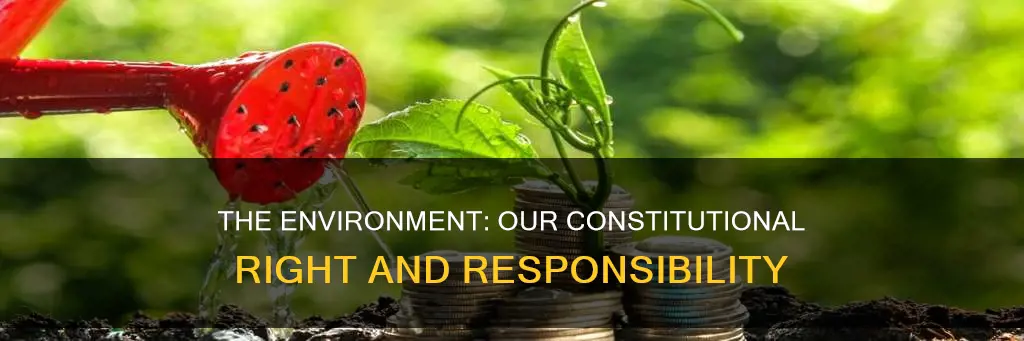 is the protection the environment a constitutional provision