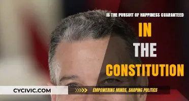 Happiness: A Constitutional Right or a Pursuit?