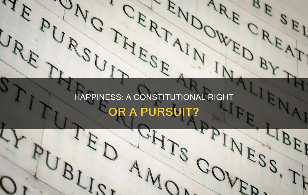 is the pursuit of happiness guaranteed in the constitution