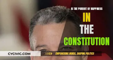 Happiness: A Constitutional Right or Misinterpretation?