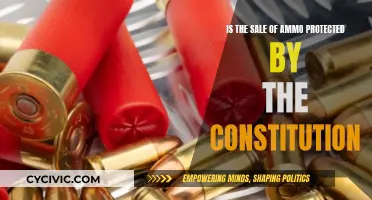 Ammo Sales: Constitutional Right or Public Safety Risk?