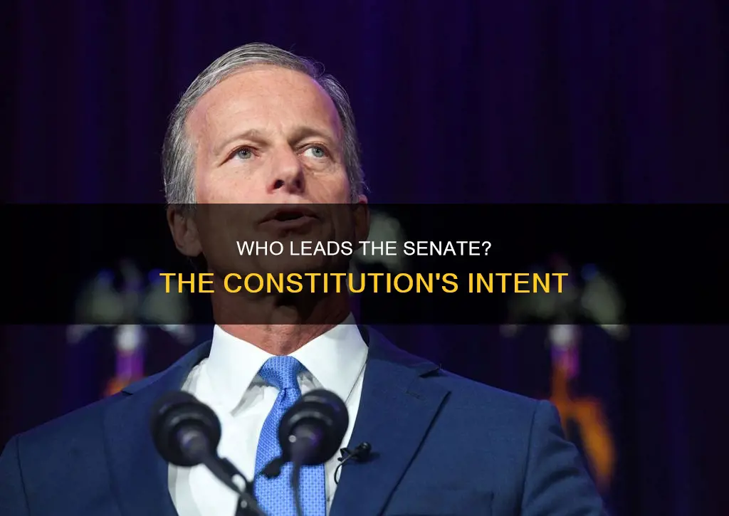 is the senate majority leader in the constitution