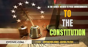 The Senate's Role in Amending the Constitution