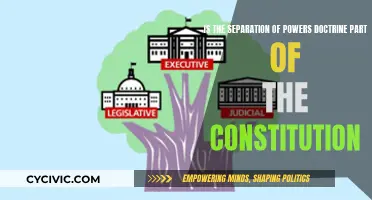 Separation of Powers: A Constitutional Cornerstone?