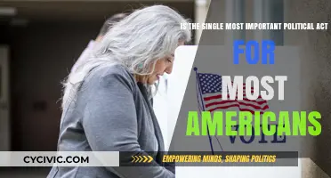 Voting: The Single Most Important Political Act for Most Americans