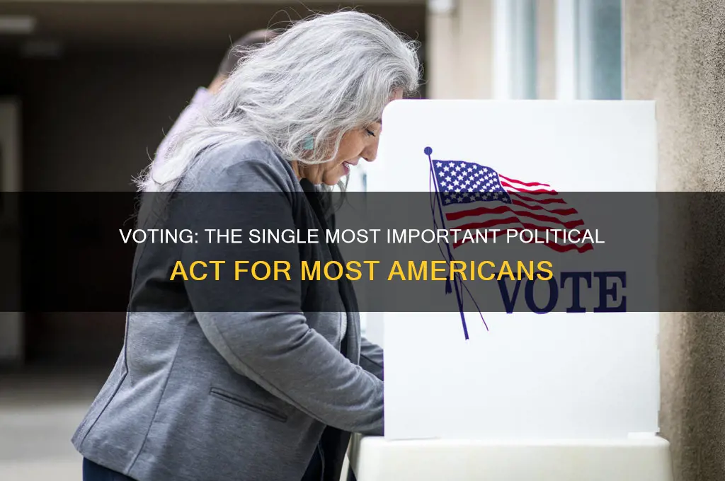 is the single most important political act for most americans