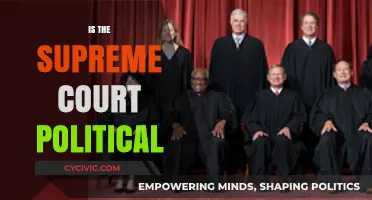 Is the Supreme Court Political? Unraveling Judicial Independence and Bias
