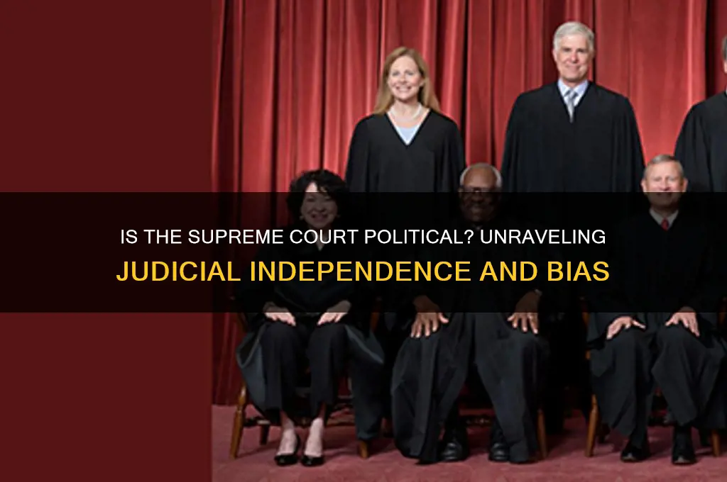 is the supreme court political