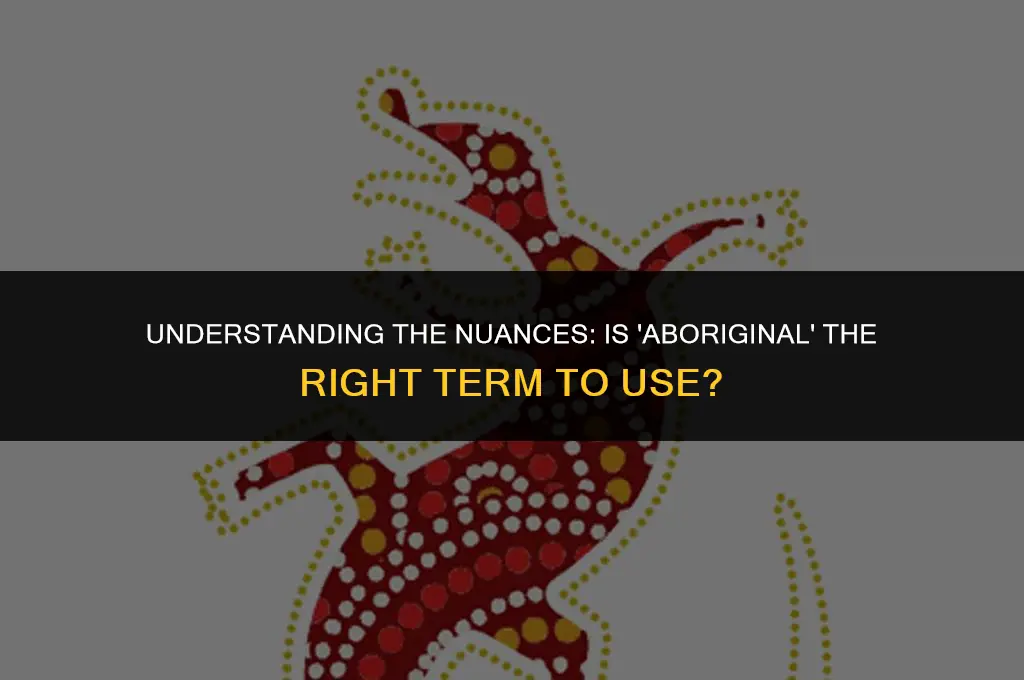 is the term aboriginal politically correct