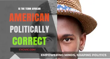 Understanding Political Correctness: The Term 'African American