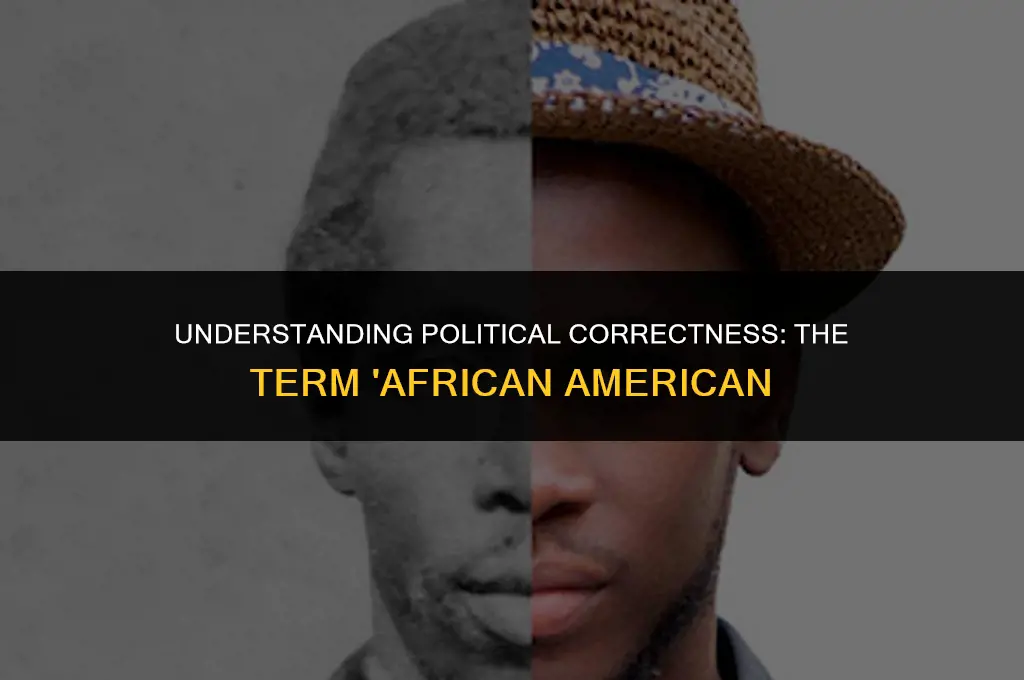 is the term african american politically correct
