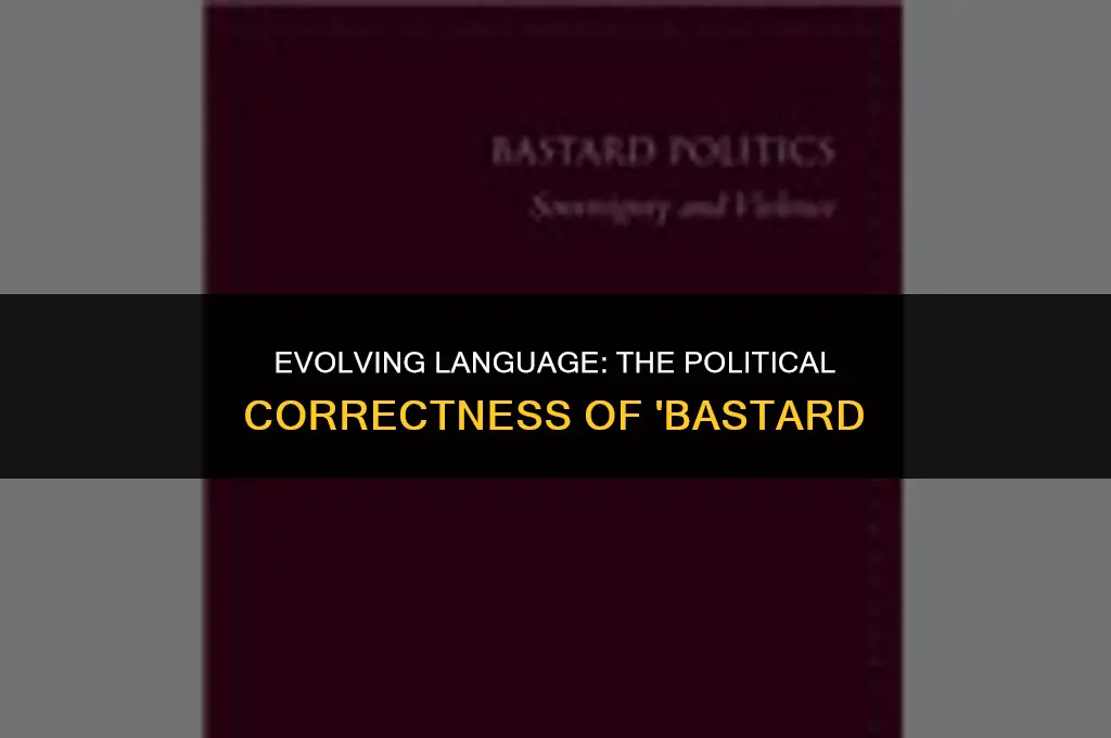 is the term bastard politically correct
