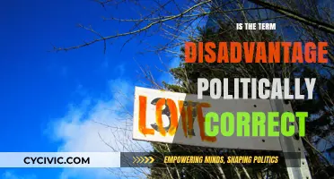 Reevaluating 'Disadvantaged': A Look at Political Correctness in Language