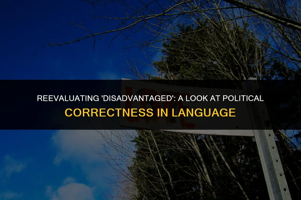 is the term disadvantaged politically correct