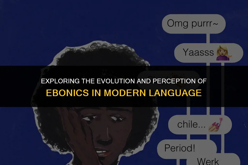 is the term ebonics politically correct