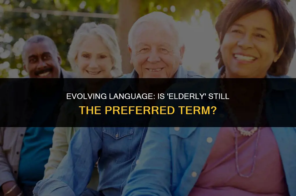is the term elderly politically correct