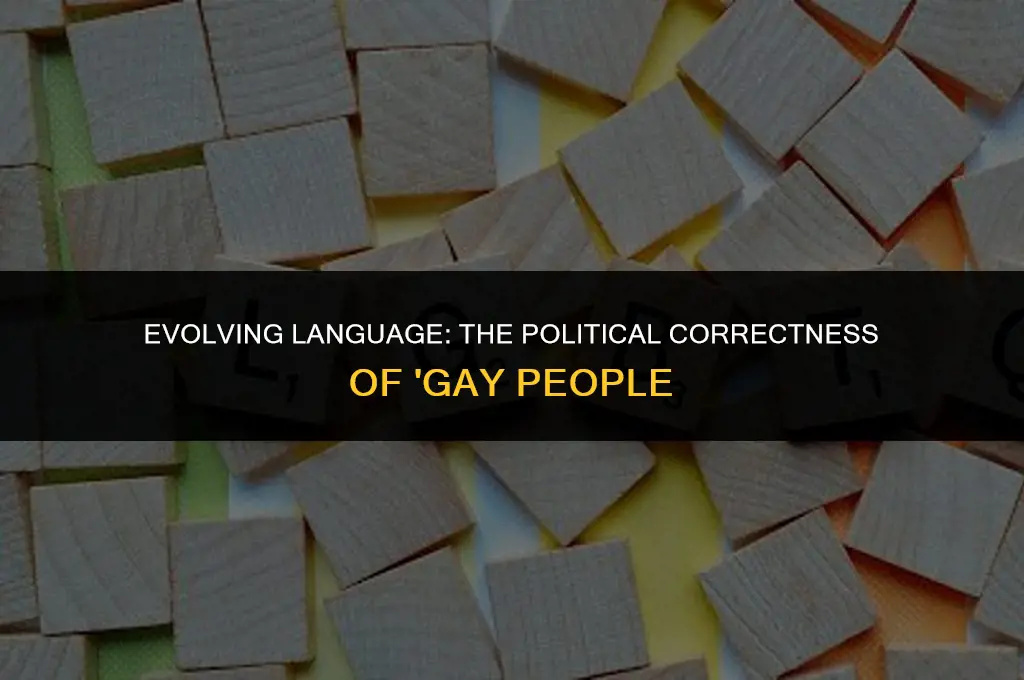 is the term gay people politically correct
