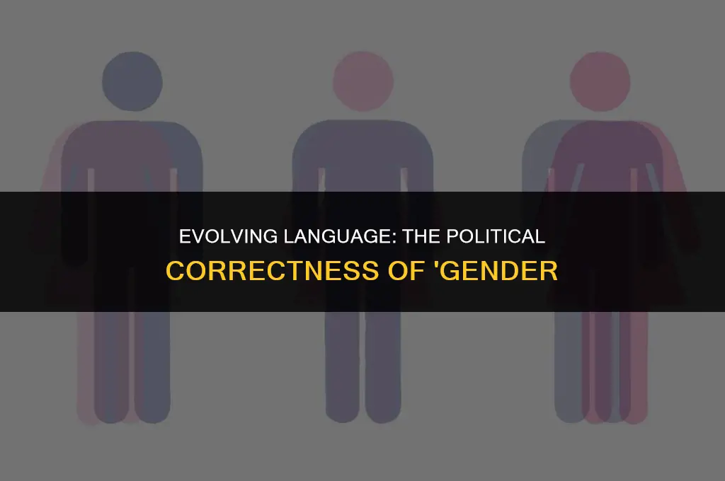 is the term gender politically correct