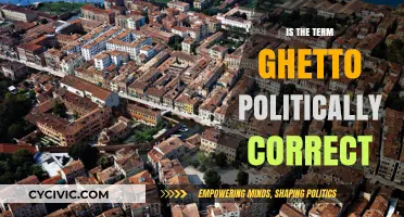 Exploring the Sensitivity: Is 'Ghetto' a Politically Correct Term?