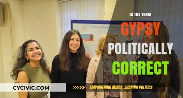 Exploring the Sensitivity: Is 'Gypsy' a Politically Correct Term?