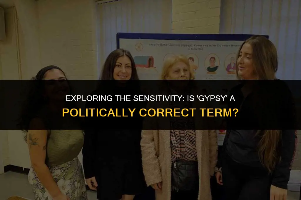is the term gypsy politically correct