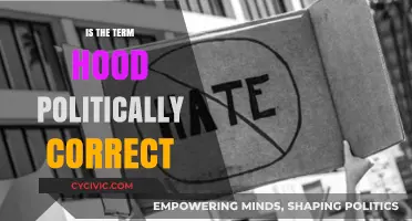 Exploring the Political Correctness of the Term 'Hood