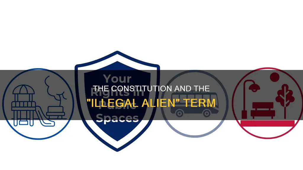 is the term illegal alien in the constitution