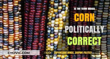 Examining the Political Correctness of 'Indian Corn