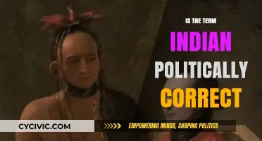 Reevaluating 'Indian': A Journey Through Political Correctness and Identity