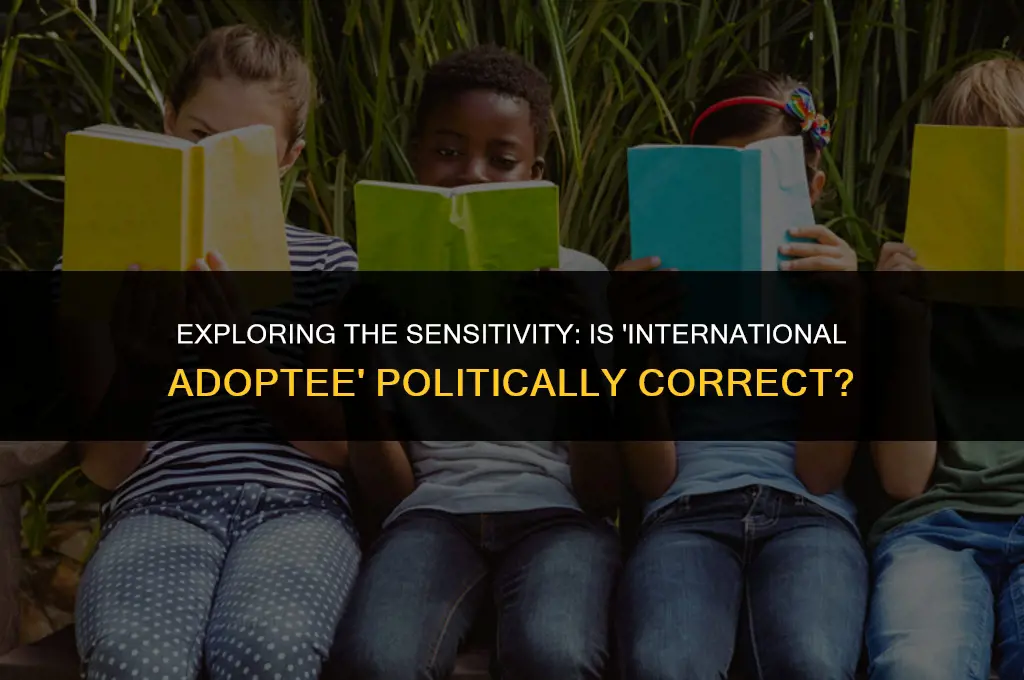 is the term international adoptee politically correct