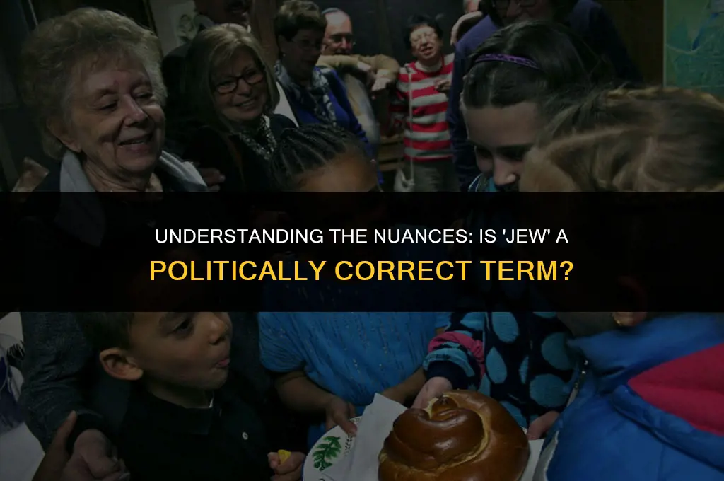 is the term jew politically correct