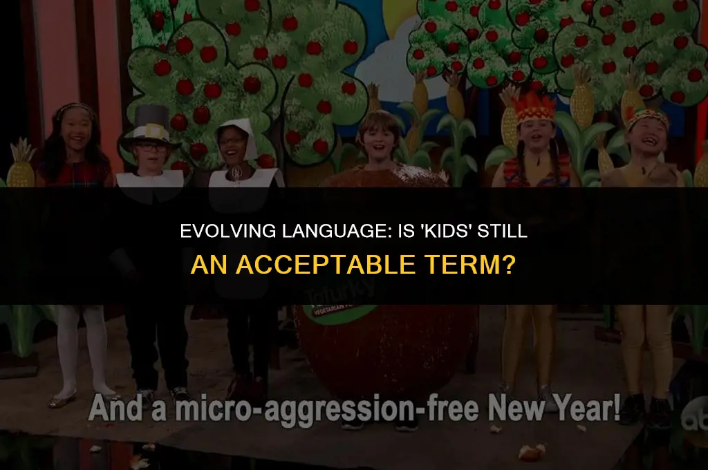 is the term kids politically correct