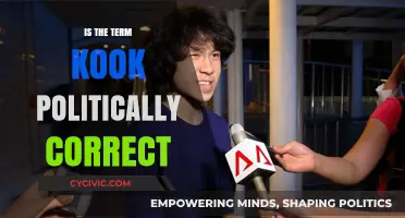 Exploring the Political Correctness of the Term 'Kook