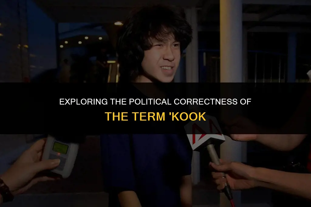 is the term kook politically correct