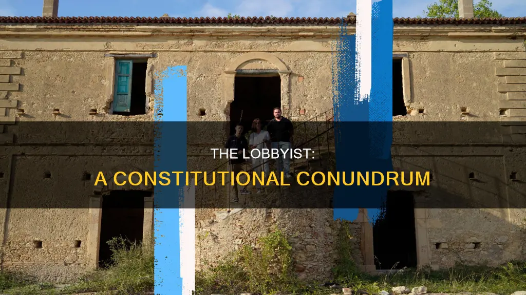 is the term lobbyist addressed in the us constitution