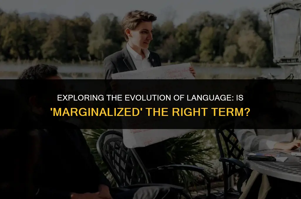 is the term marginalized politically correct